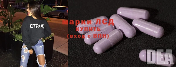 сатива Надым