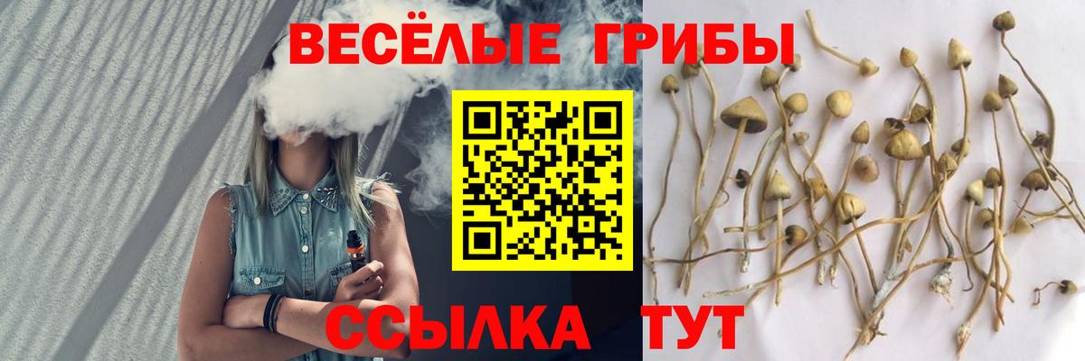 ЭКСТАЗИ  Alpha-PVP СОЛЬ кристаллы  Вейп ТГК  Волгоград  Меф МЯУ МЯУ кристаллы  NBOMe  Мефедрон кристаллы  Купить наркотики цена  Бошки Шишки  Кокаин  Гашиш  ГАШ 