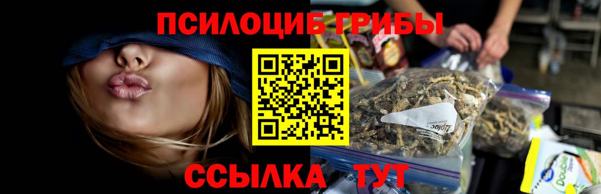 Псилоцибиновые грибы мухоморы  Волгоград 